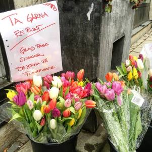 17952709_10158641741145094_6826364875224157142_n